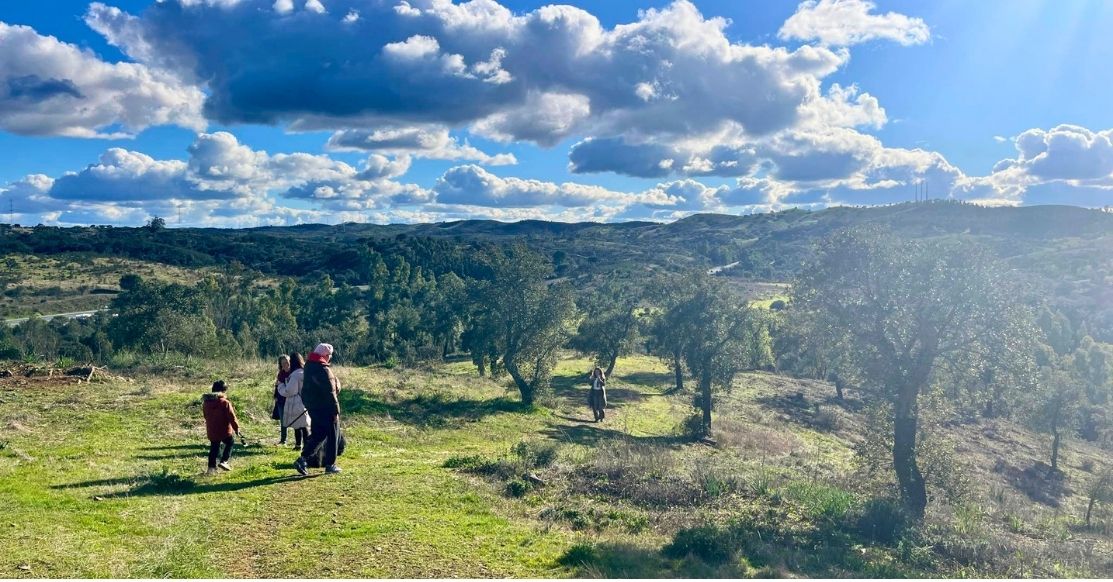 Alentejo Landscape