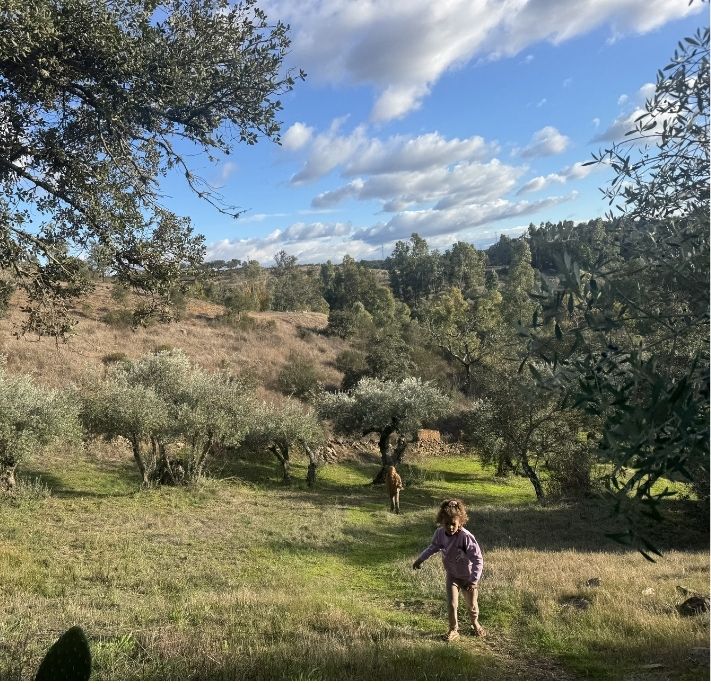 A group of people sharing a meal outdoors at a long wooden table decorated with local wildflowers