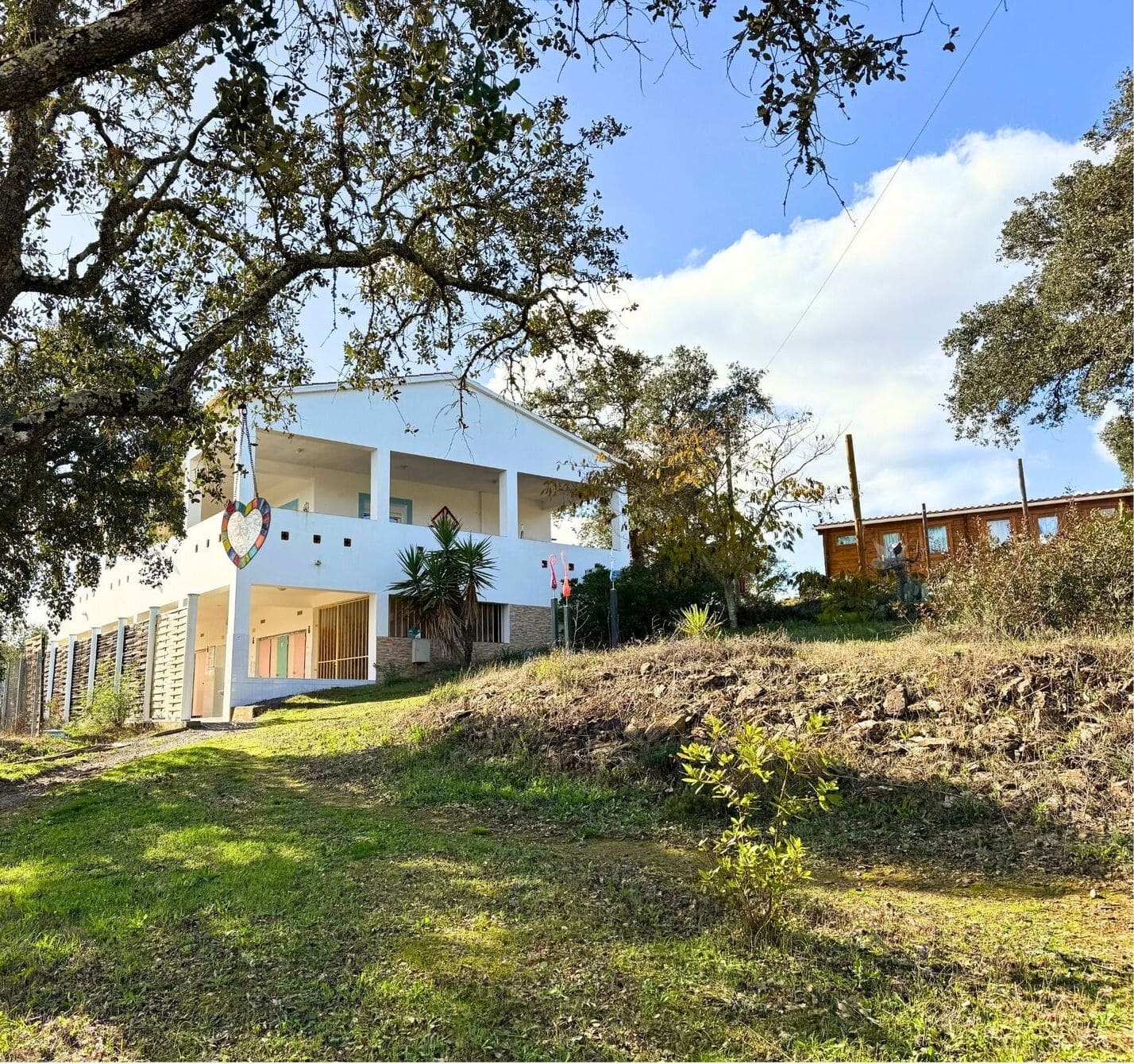Modern tiny house with wooden cladding nestled in a cork oak forest under warm golden hour light