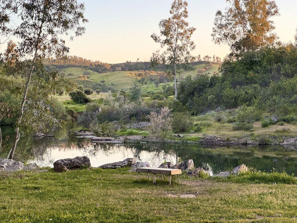 Bordering the beautiful river Mira