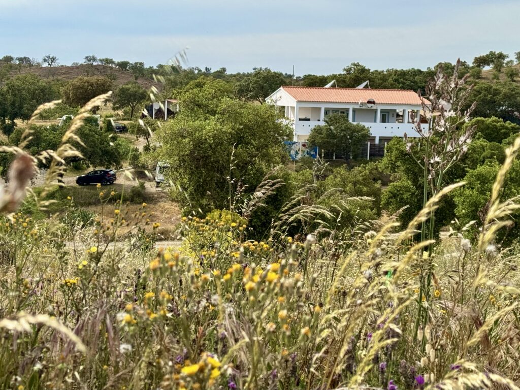 Vila Akoya eco-campsite in Alentejo, Portugal, surrounded by wildflowers, forest and countryside views